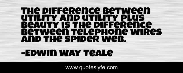 The difference between utility and utility plus beauty is the difference between telephone wires and the spider web.