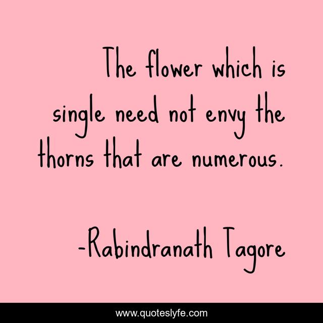 The flower which is single need not envy the thorns that are numerous.