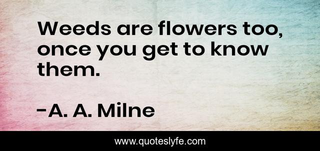 Weeds are flowers too, once you get to know them.