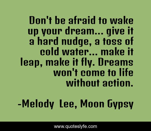 Don't be afraid to wake up your dream... give it a hard nudge, a toss of cold water... make it leap, make it fly. Dreams won't come to life without action.