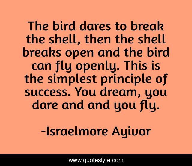 The bird dares to break the shell, then the shell breaks open and the bird can fly openly. This is the simplest principle of success. You dream, you dare and and you fly.