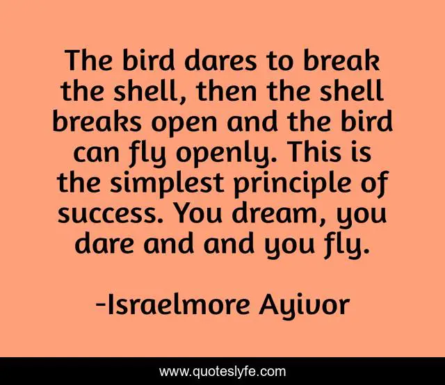 The bird dares to break the shell, then the shell breaks open and the bird can fly openly. This is the simplest principle of success. You dream, you dare and and you fly.