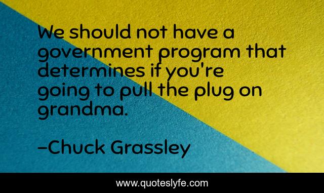 We should not have a government program that determines if you're going to pull the plug on grandma.