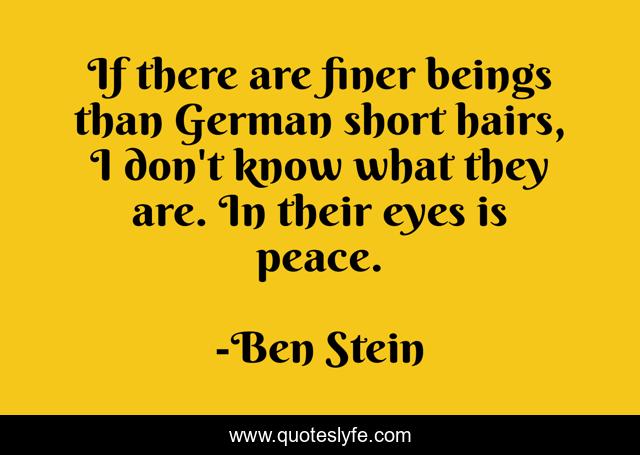 If there are finer beings than German short hairs, I don't know what they are. In their eyes is peace.