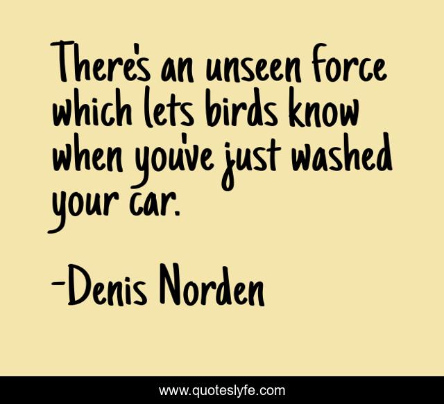 There's an unseen force which lets birds know when you've just washed your car.