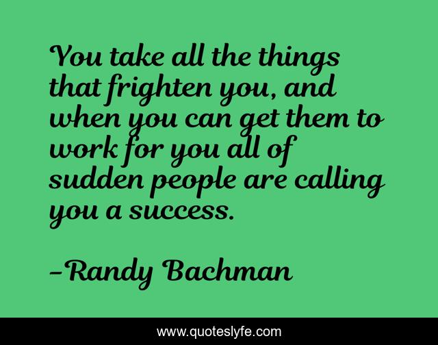 You take all the things that frighten you, and when you can get them to work for you all of sudden people are calling you a success.