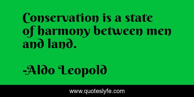 Conservation is a state of harmony between men and land.