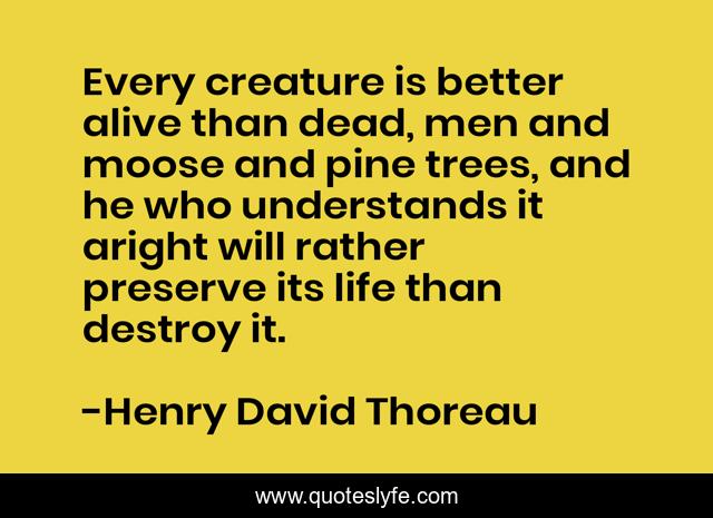 Every creature is better alive than dead, men and moose and pine trees, and he who understands it aright will rather preserve its life than destroy it.