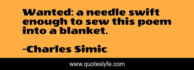 Wanted: a needle swift enough to sew this poem into a blanket.