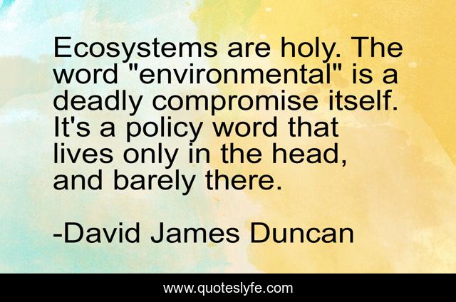 Ecosystems are holy. The word 