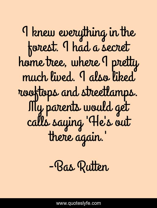 I knew everything in the forest. I had a secret home tree, where I pretty much lived. I also liked rooftops and streetlamps. My parents would get calls saying 'He's out there again.'