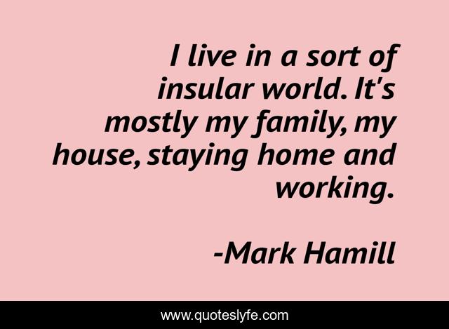 I live in a sort of insular world. It's mostly my family, my house, staying home and working.