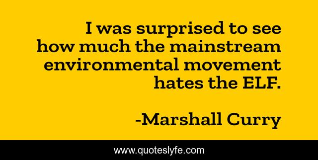 I was surprised to see how much the mainstream environmental movement hates the ELF.