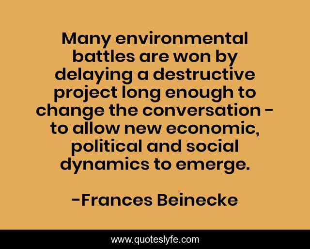 Many environmental battles are won by delaying a destructive project long enough to change the conversation - to allow new economic, political and social dynamics to emerge.