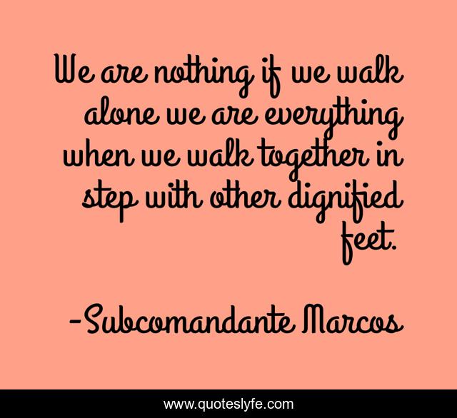 We are nothing if we walk alone we are everything when we walk together in step with other dignified feet.
