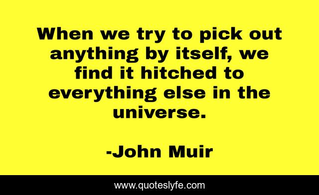 When we try to pick out anything by itself, we find it hitched to everything else in the universe.