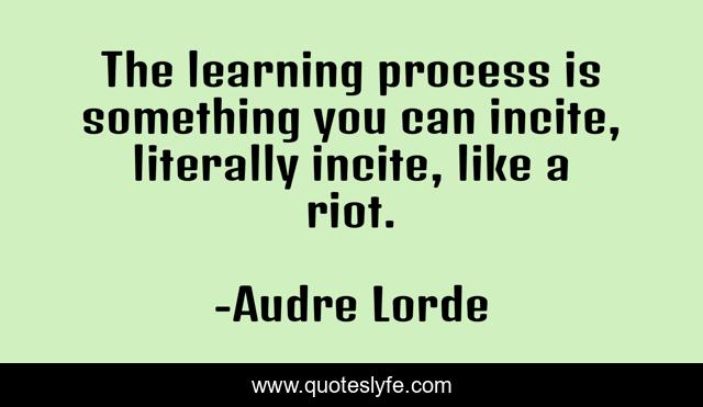 The learning process is something you can incite, literally incite, like a riot.