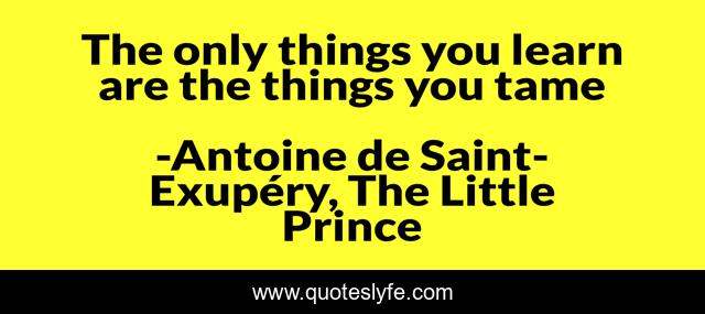 The only things you learn are the things you tame