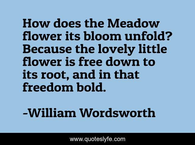 How does the Meadow flower its bloom unfold? Because the lovely little flower is free down to its root, and in that freedom bold.