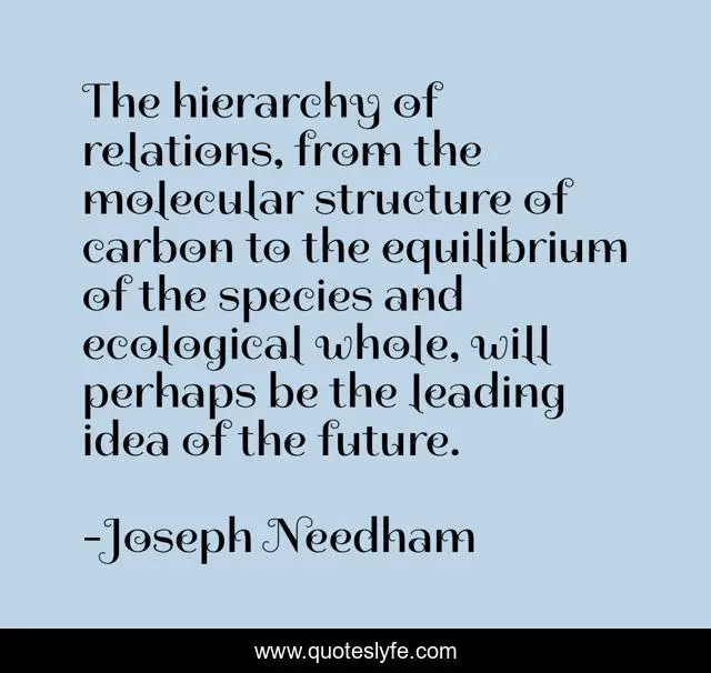 The hierarchy of relations, from the molecular structure of carbon to the equilibrium of the species and ecological whole, will perhaps be the leading idea of the future.