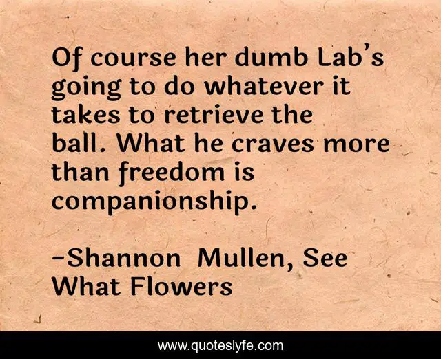 Of course her dumb Lab’s going to do whatever it takes to retrieve the ball. What he craves more than freedom is companionship.