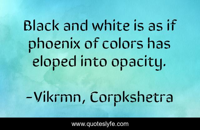 Black and white is as if phoenix of colors has eloped into opacity.