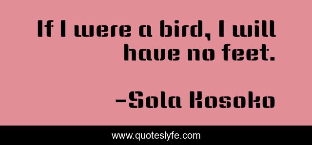If I were a bird, I will have no feet.