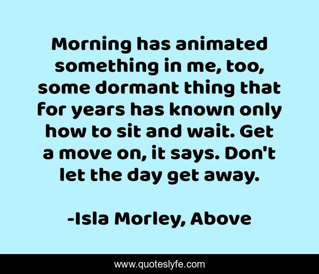 Morning has animated something in me, too, some dormant thing that for years has known only how to sit and wait. Get a move on, it says. Don't let the day get away.