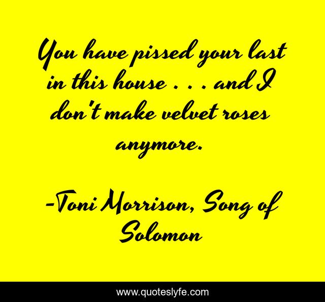 You have pissed your last in this house . . . and I don't make velvet roses anymore.