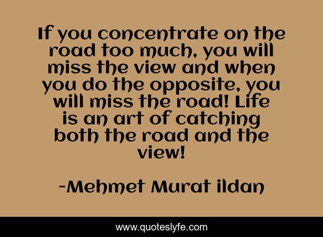 If you concentrate on the road too much, you will miss the view and when you do the opposite, you will miss the road! Life is an art of catching both the road and the view!