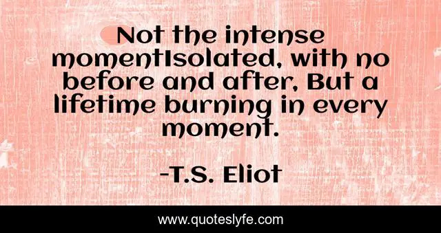 Not the intense momentIsolated, with no before and after, But a lifetime burning in every moment.