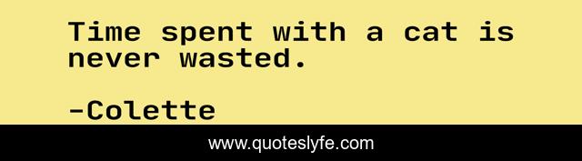 Time spent with a cat is never wasted.