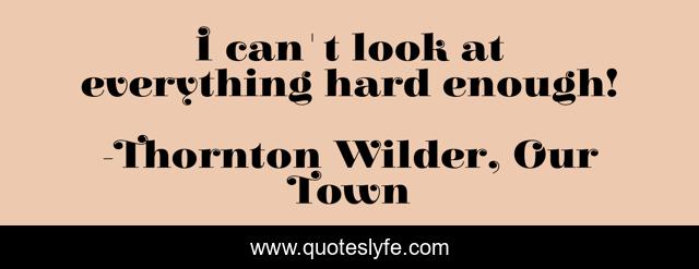 I can't look at everything hard enough!