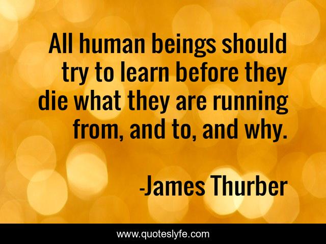 All human beings should try to learn before they die what they are running from, and to, and why.