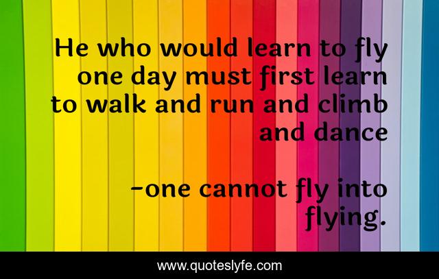 He who would learn to fly one day must first learn to walk and run and climb and dance