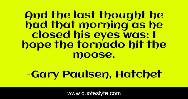 And the last thought he had that morning as he closed his eyes was: I hope the tornado hit the moose.