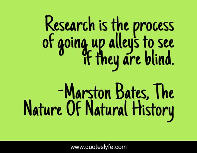 Research is the process of going up alleys to see if they are blind.