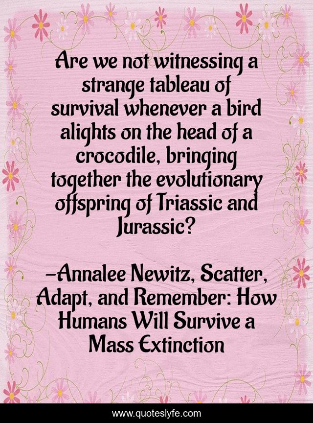 Are we not witnessing a strange tableau of survival whenever a bird alights on the head of a crocodile, bringing together the evolutionary offspring of Triassic and Jurassic?