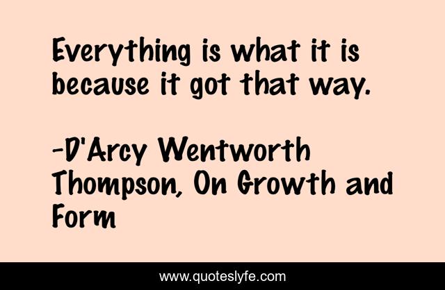 Everything is what it is because it got that way.