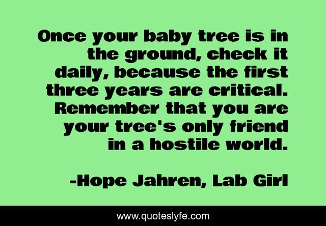 Once your baby tree is in the ground, check it daily, because the first three years are critical. Remember that you are your tree's only friend in a hostile world.