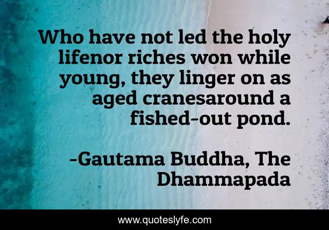 Who have not led the holy lifenor riches won while young, they linger on as aged cranesaround a fished-out pond.