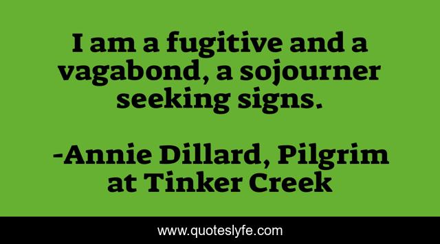 I am a fugitive and a vagabond, a sojourner seeking signs.