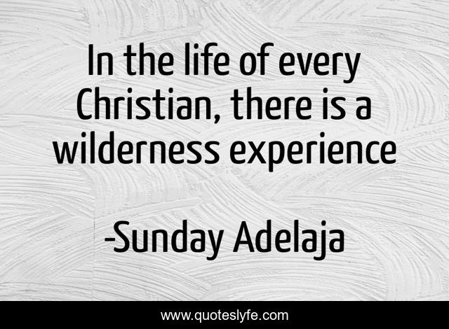 In the life of every Christian, there is a wilderness experience