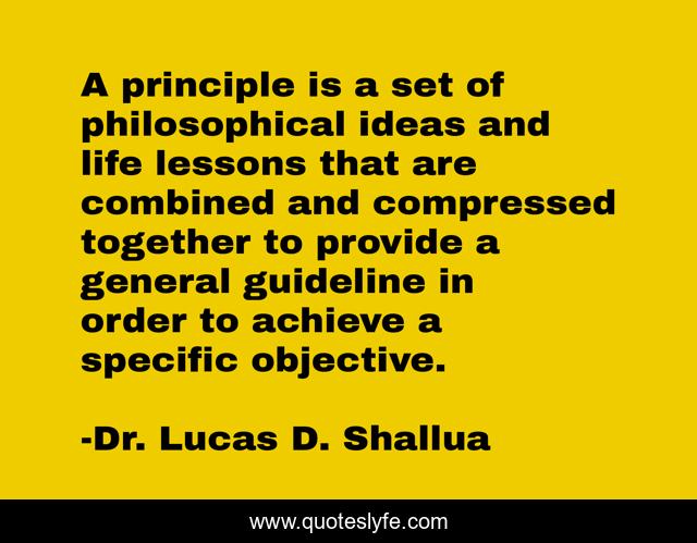 A principle is a set of philosophical ideas and life lessons that are combined and compressed together to provide a general guideline in order to achieve a specific objective.