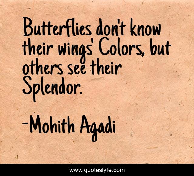 Butterflies don't know their wings' Colors, but others see their Splendor.