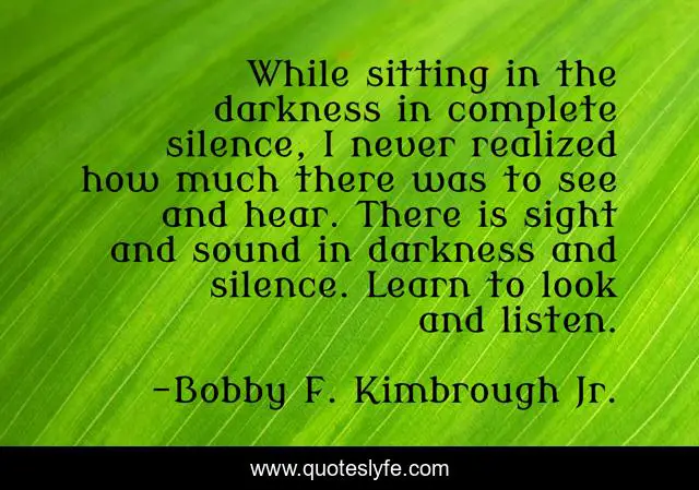 While sitting in the darkness in complete silence, I never realized how much there was to see and hear. There is sight and sound in darkness and silence. Learn to look and listen.