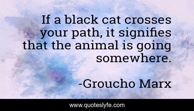 If a black cat crosses your path, it signifies that the animal is going somewhere.