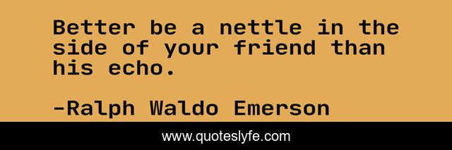 Better be a nettle in the side of your friend than his echo.