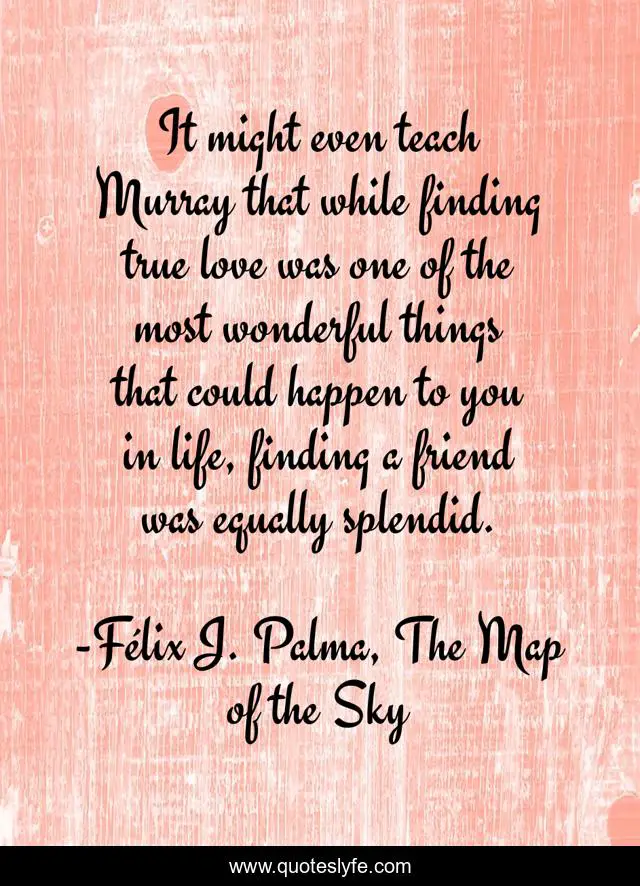 It might even teach Murray that while finding true love was one of the most wonderful things that could happen to you in life, finding a friend was equally splendid.