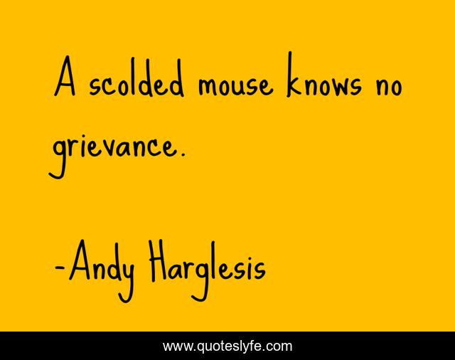 A scolded mouse knows no grievance.